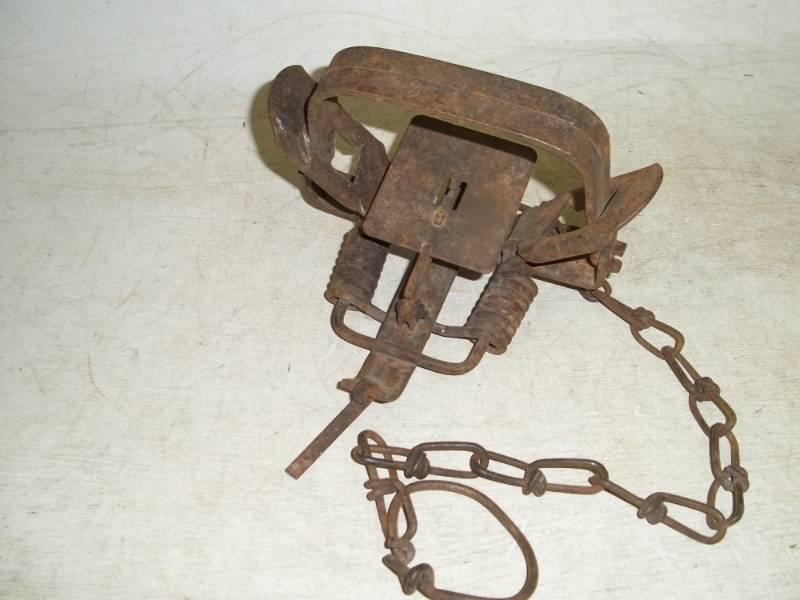 lot 184 image: Large Trap