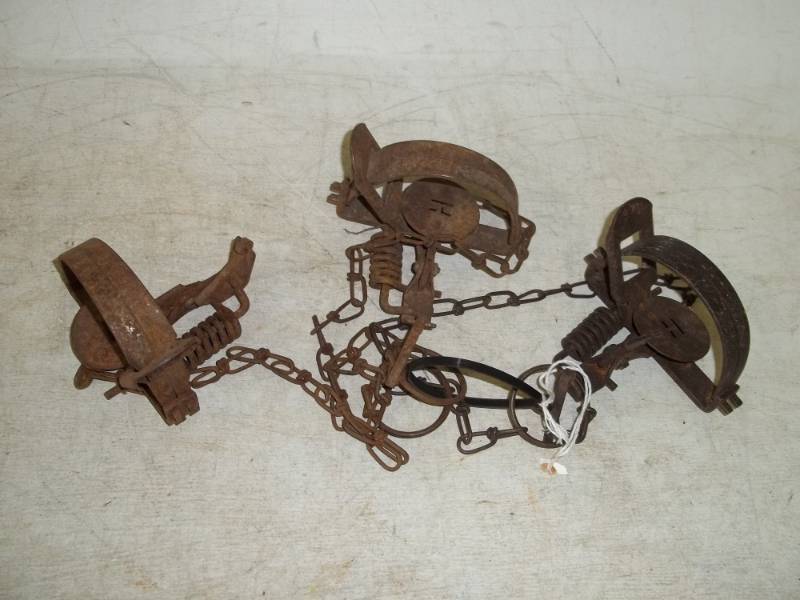 lot 186 image: 3 Gopher Traps