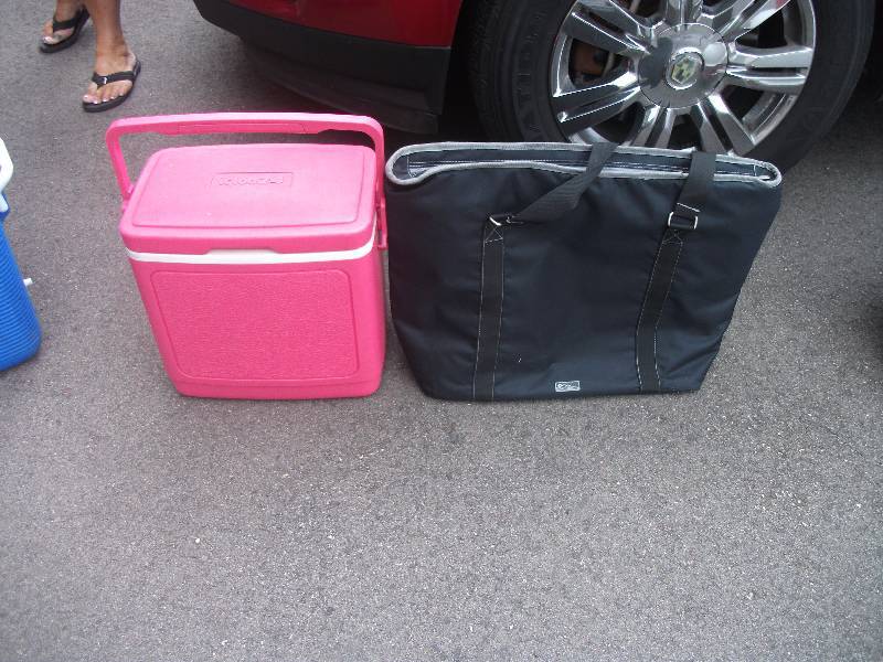 lot 11 image: Igloo Cooler & Cooler Tote Bag
