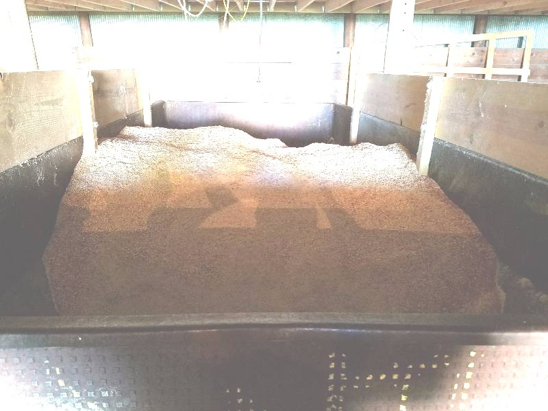 lot 53 image: Feed Wagon With Aprox. One Ton of Corn Sceenings