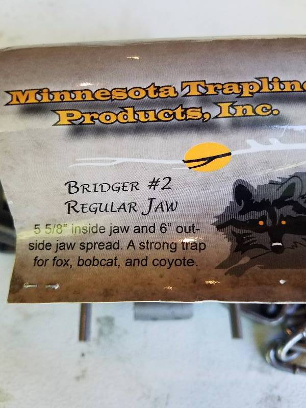 lot 163 image: Mn.Trapling Co.  Bridger Reg Jaw 5 58  Fox,Coyote & Bobcat