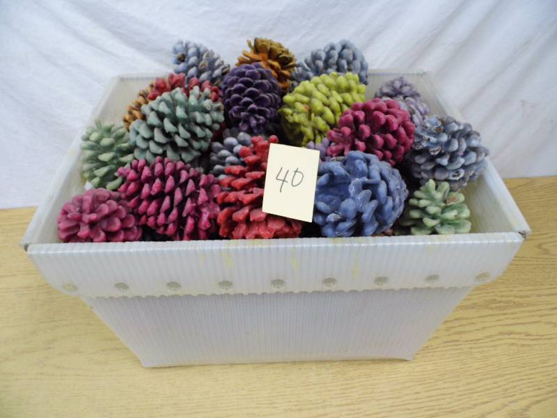 Pine Cone Fire Starters