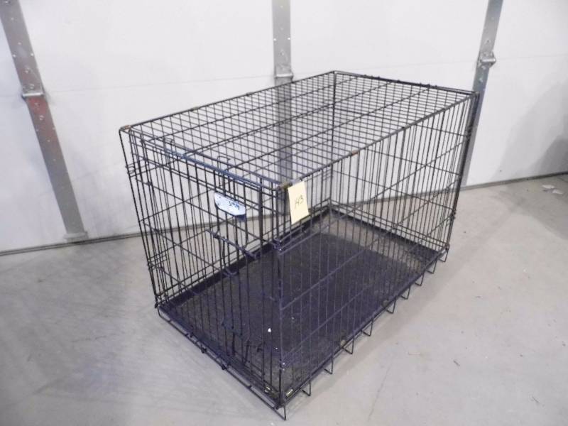 Kennel