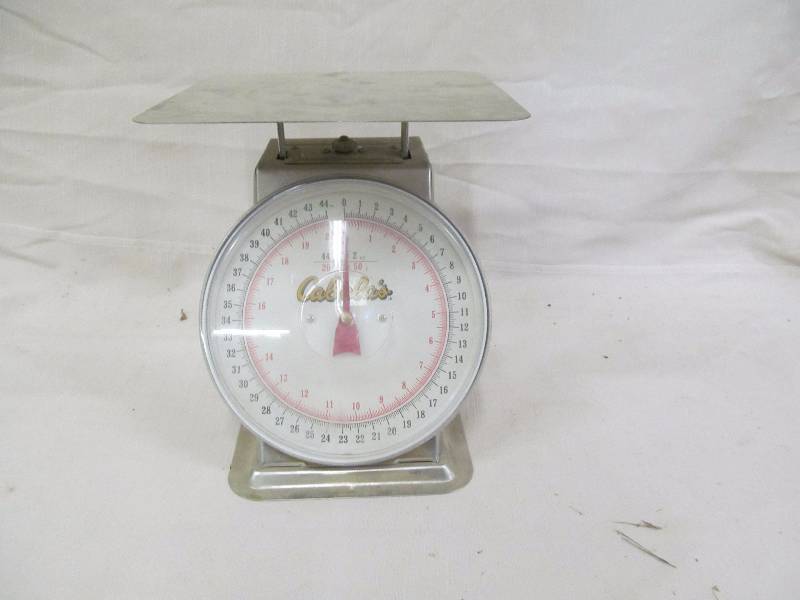 lot 56 image: Cabelas scale