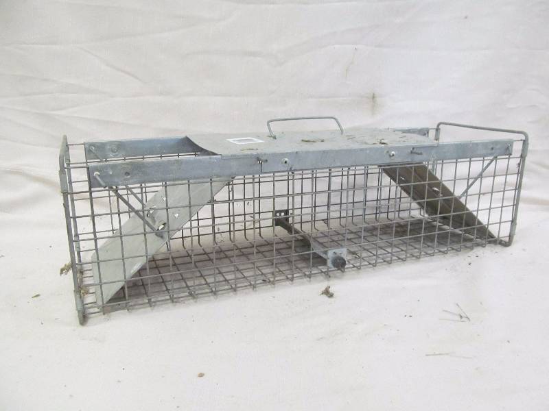 lot 77 image: live trap