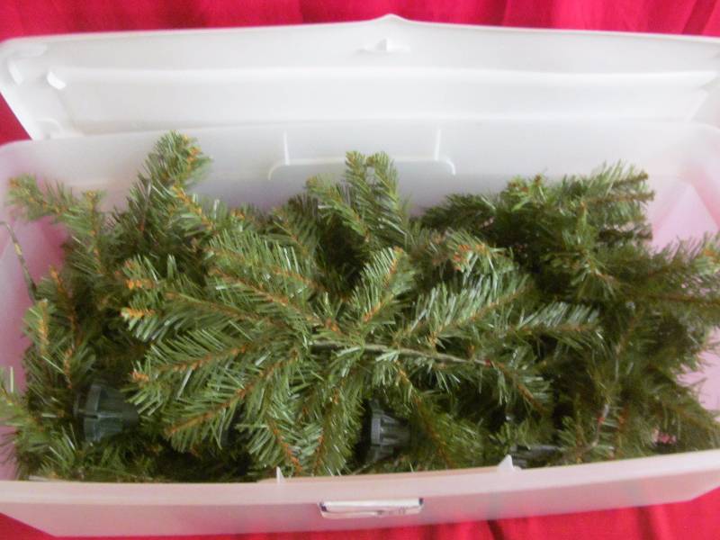 tree