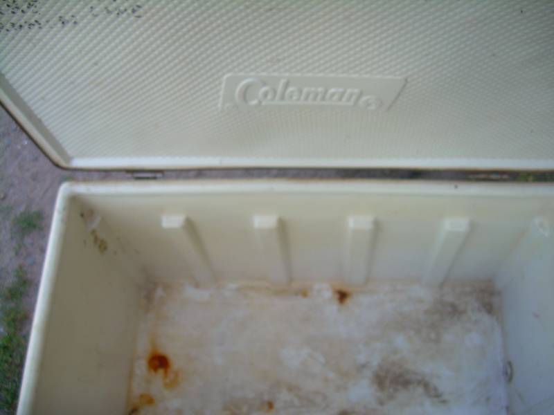 VINTAGE METAL COLEMAN COOLER