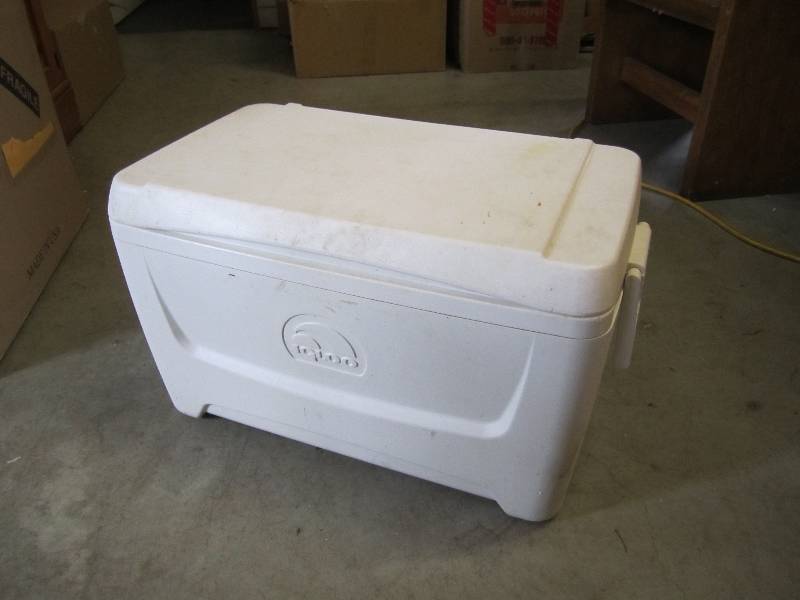 lot 102 image: Igloo Cooler 24 x 14 x 14.75 high....