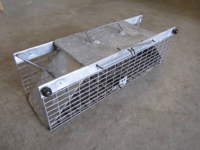 lot 176 image: Small Live Trap 17.25 long...