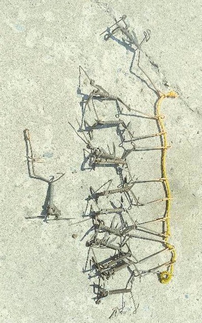 Lot of 13 Traps