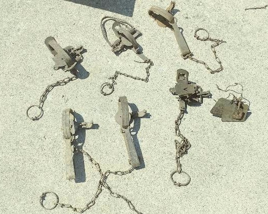 Lot of 6 Traps