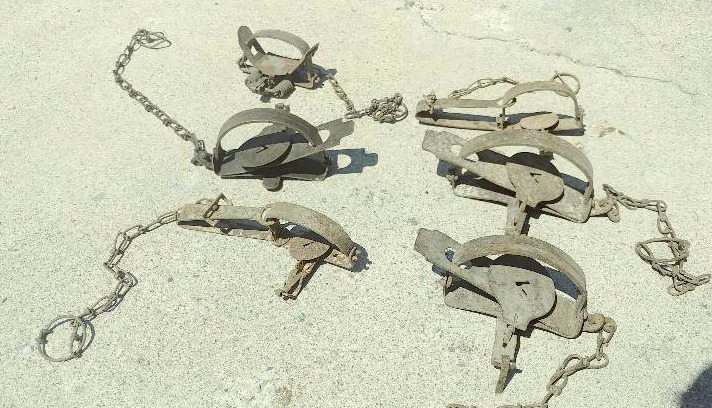Lot of 6 Traps