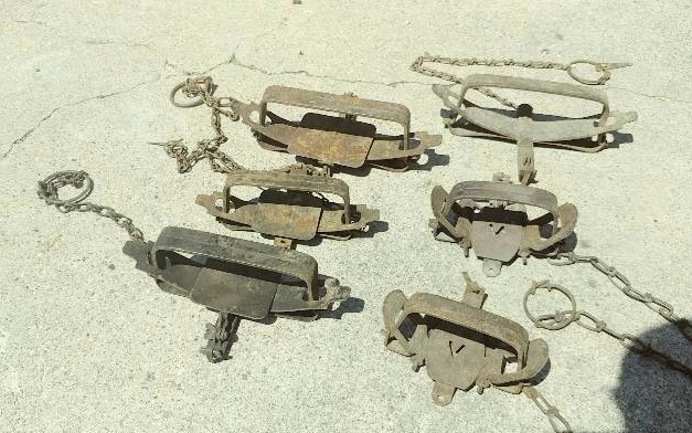 Lot of 6 Traps