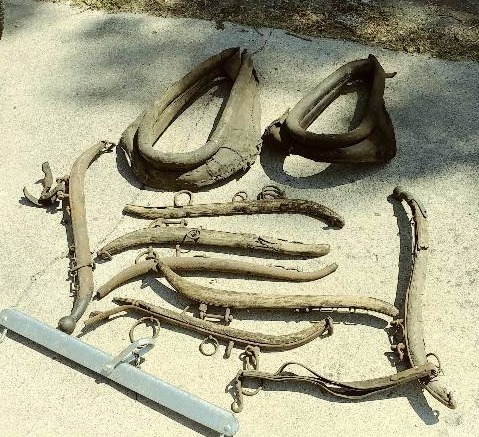 Horse Collars, Stablizers, ect.