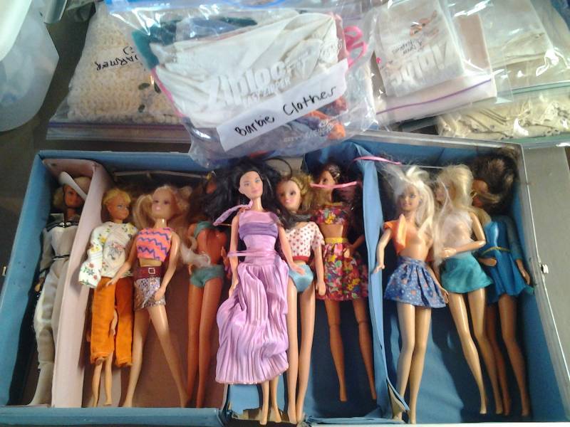 barbie case for dolls and clothes