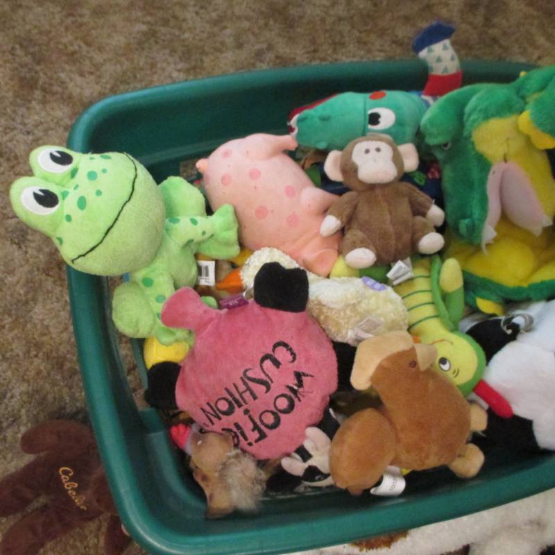 Dog Toys