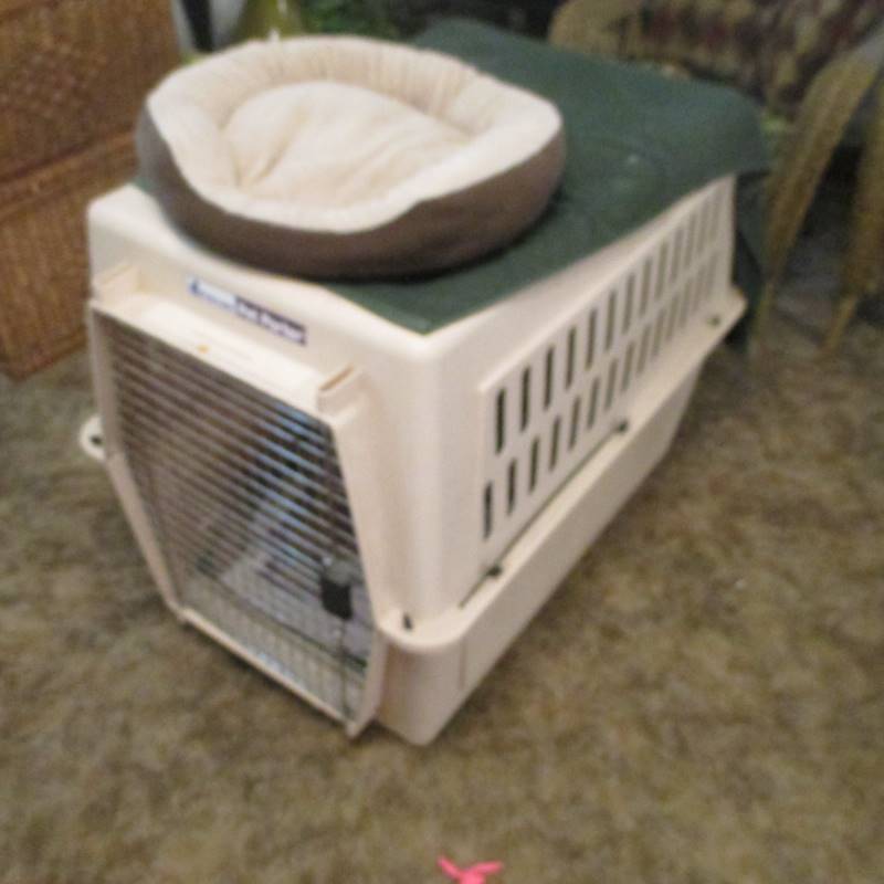 Large Indoor Dog Kennel