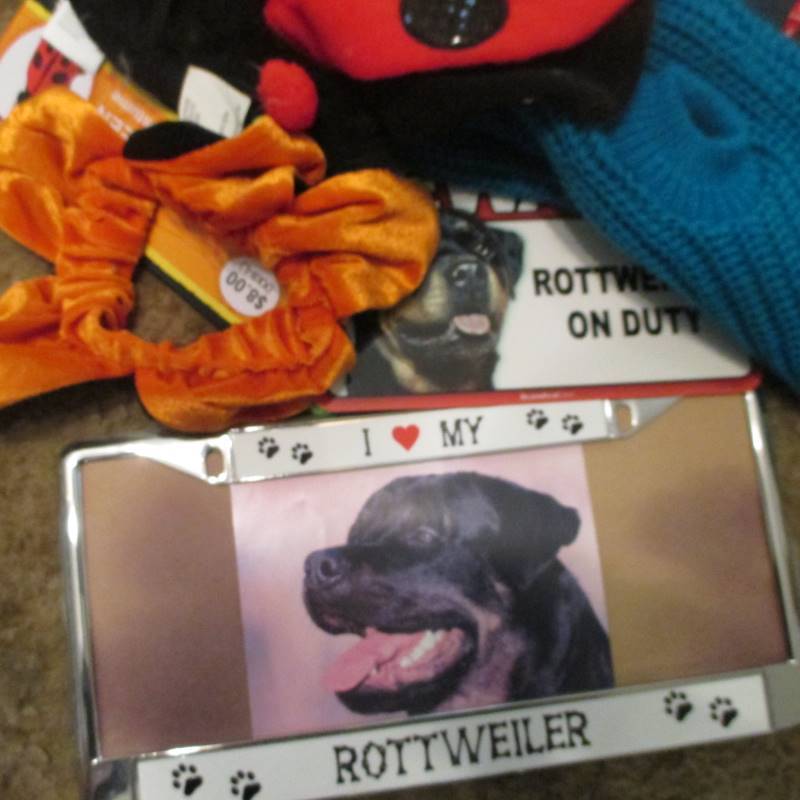 Numerous Pet Costumes & Toys