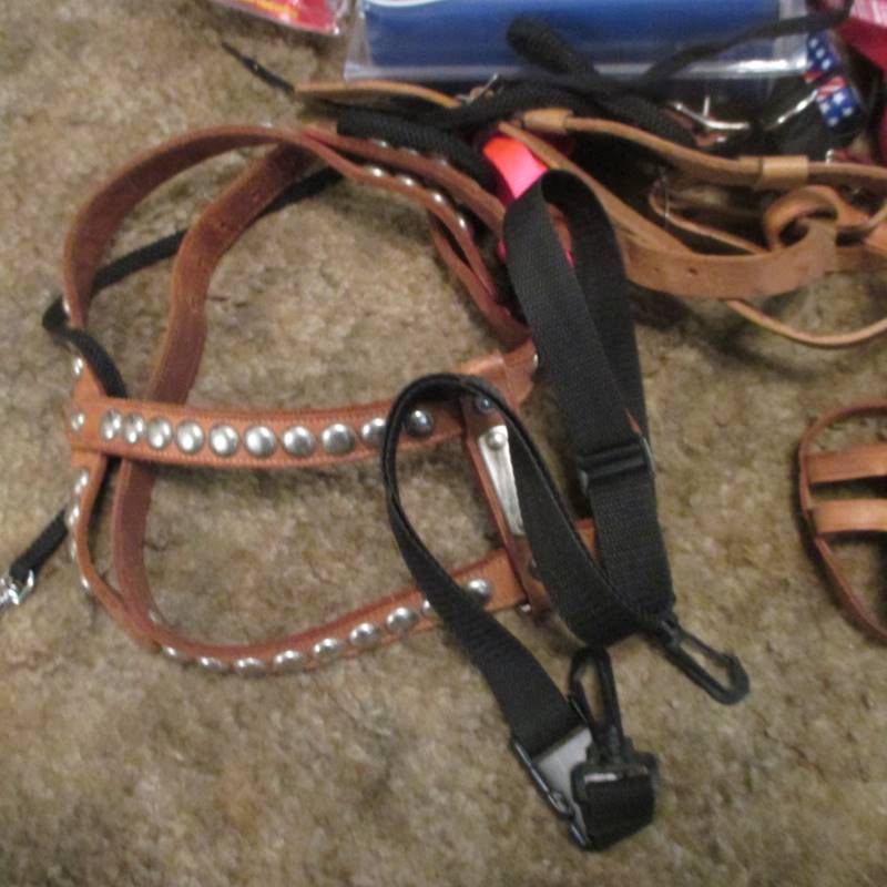 Numerous Collars & Leashes