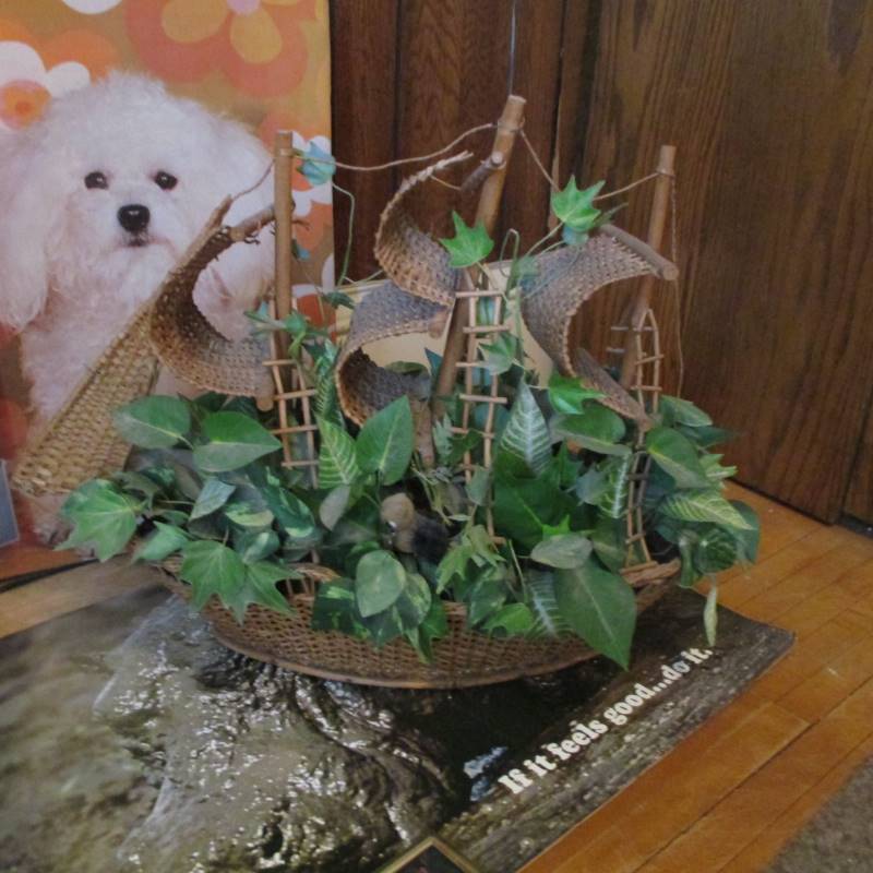 Pictures, Books & Decor
