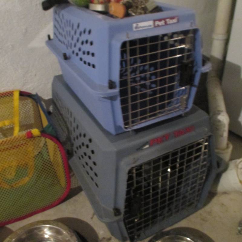 Pet Carriers & Dishes