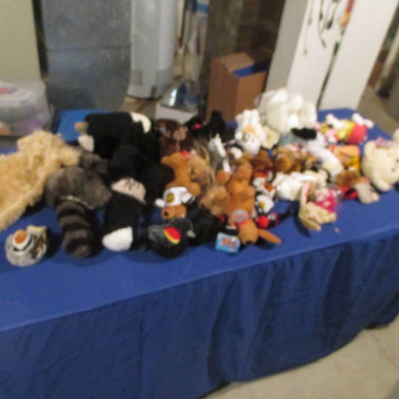 Lot of Stuffed Animals