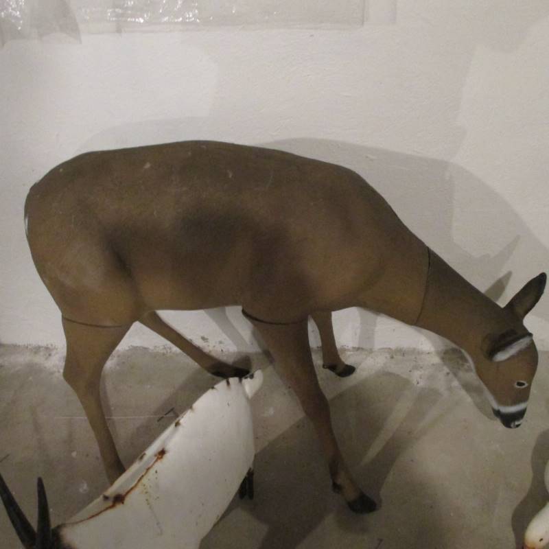 Animal Lawn Ornaments