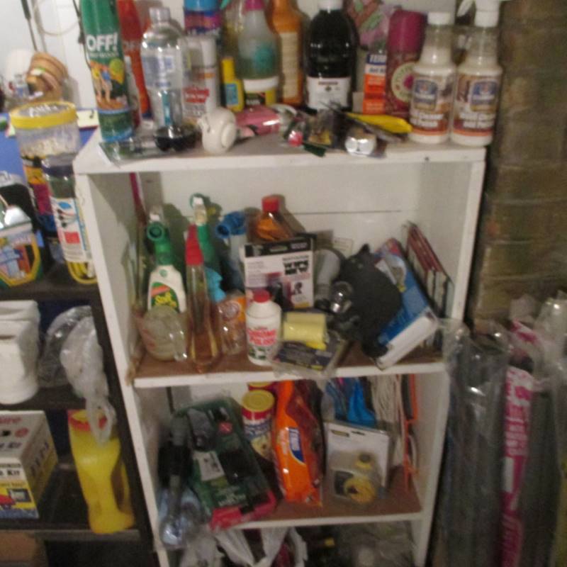 Large Lot, Shelves  Contents (see pics)
