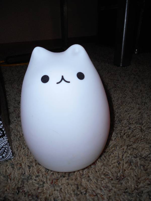 Oscar De La Renta Bag, North Face Boots, Kitty Light, Box