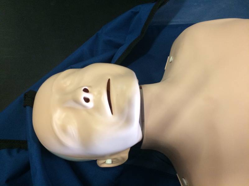 lot 81 image: Laerdal Little Anne Resuscitation Training CPR Mannequin - Excellent Condition