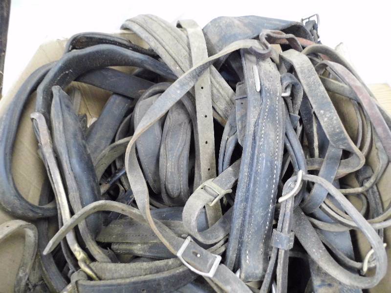 lot 28 image: Horse Harness & Tack