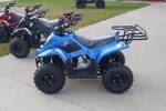 lot 21 image: Boulder 110  ATV