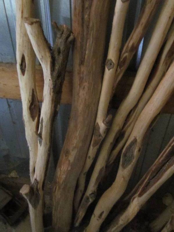 Assortment of Willow