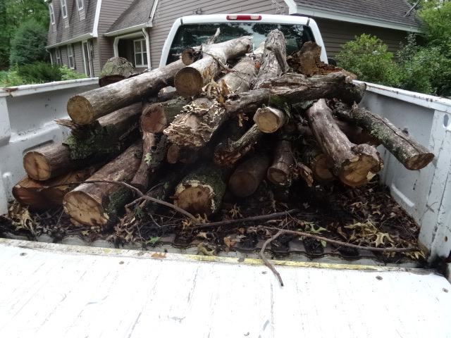 lot 57 image: Large Qty Of Red Oak For Fire Wood.