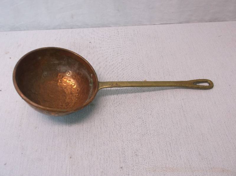Water Dipper