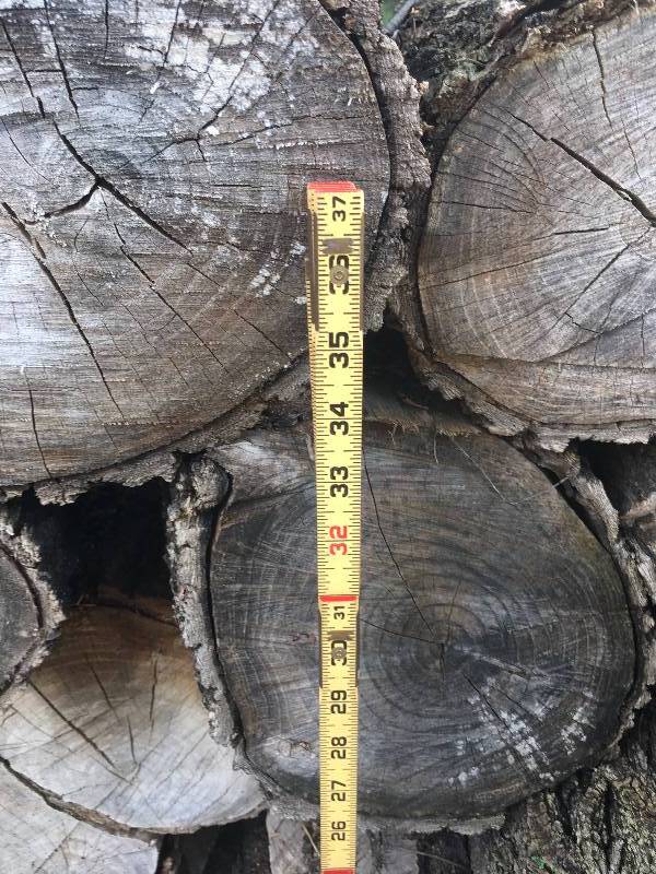 lot 10A image: Firewood - Elm and Maple - About 1 to 2 Cords