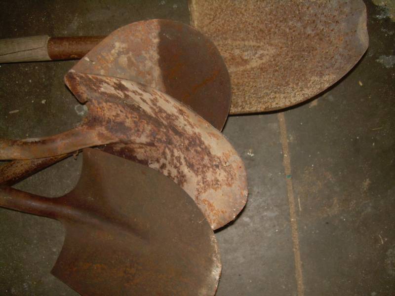 3 PEAKED NOSE SHOVELS 1 SHORT HANDLED SHOVEL