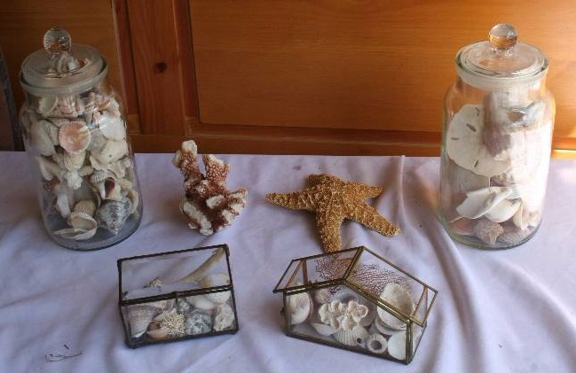 lot 46 image: Ocean Themed Dcor