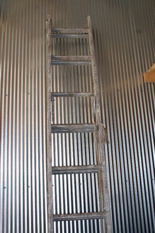 lot 78 image: Extension Ladder