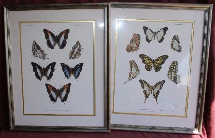 lot 202 image: Butterfly Artwork