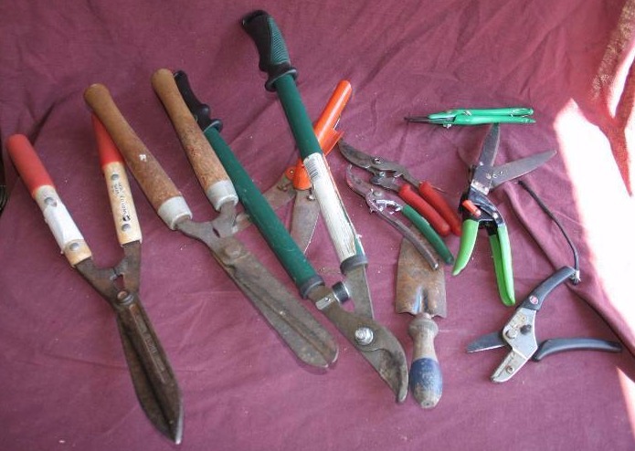 lot 243 image: Topiary Tools