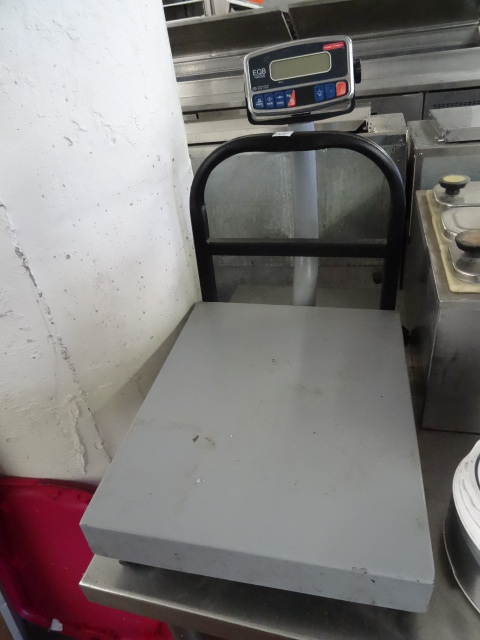 lot 120 image: EQB 100200 Scale Torrey Brand