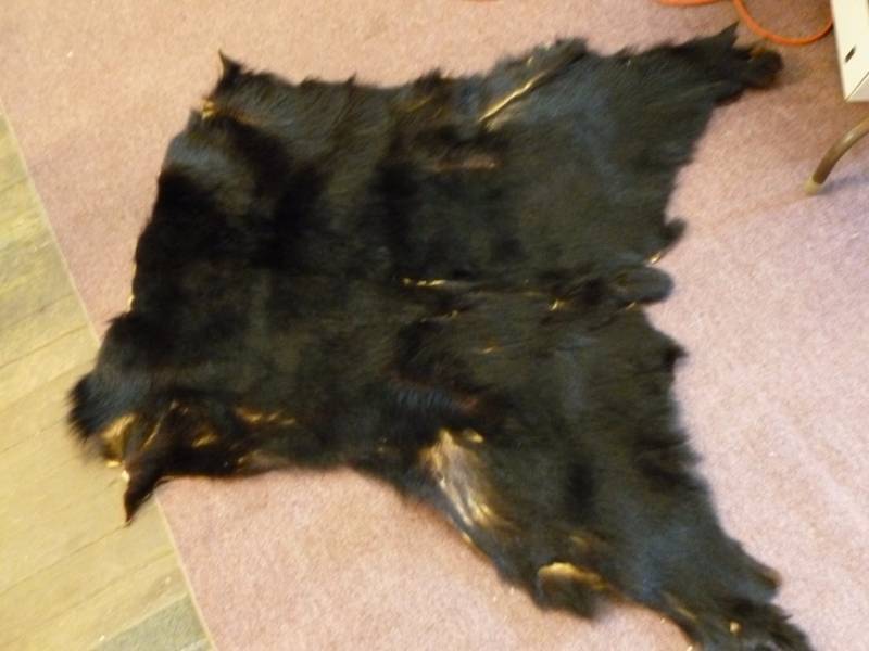 lot 203 image: Bear Hide