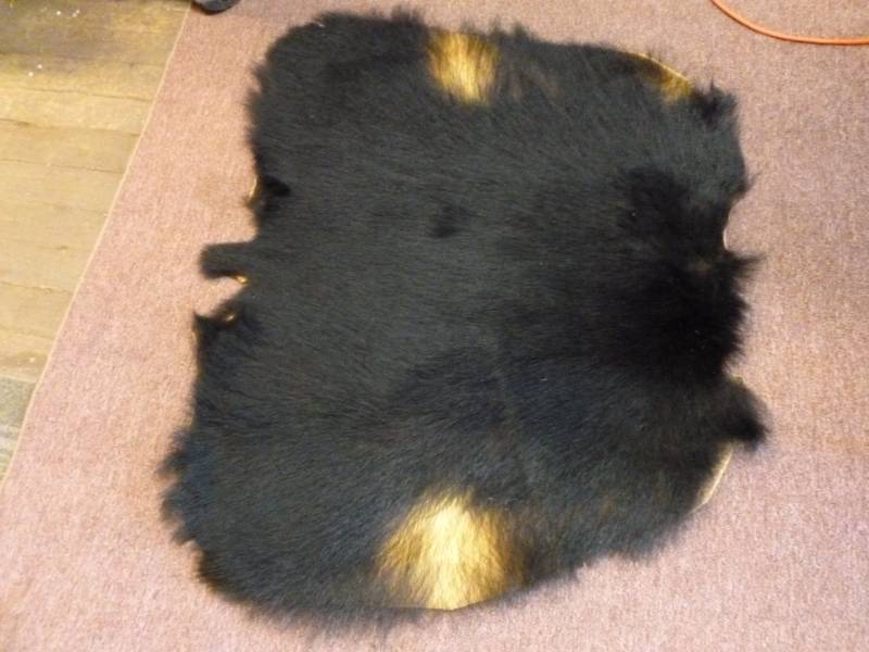 lot 205 image: Bear Hide