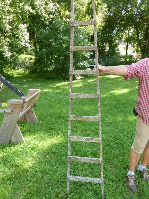 lot 289 image: Wooden Ladder