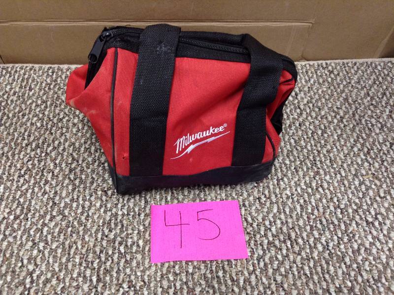 lot 45 image: Milwaukee M20 Drill Driver and Work Light one battery and 1 Charger in good working condition