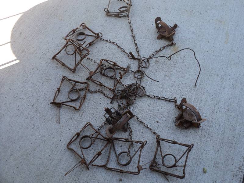 lot 4 image: 11 traps...