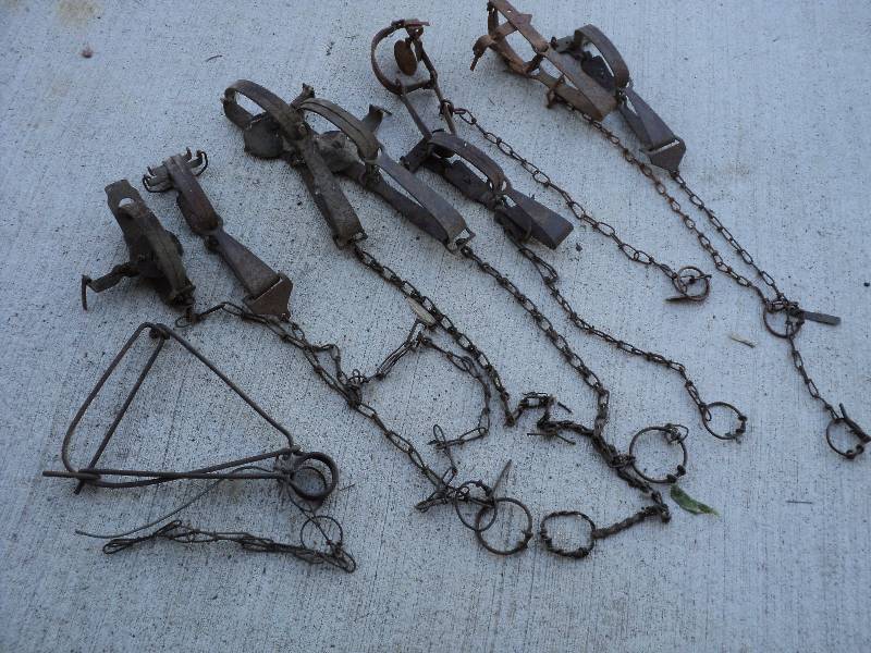 lot 5 image: 9 traps...