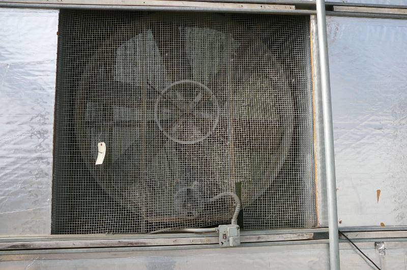 lot 1 image: 4 Exhaust Fan
