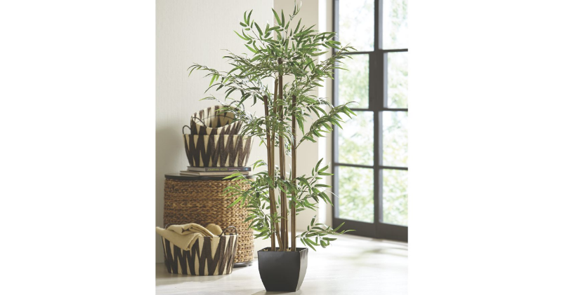 lot 57 image: Bamboo Tree open box Retail $ 79.99...